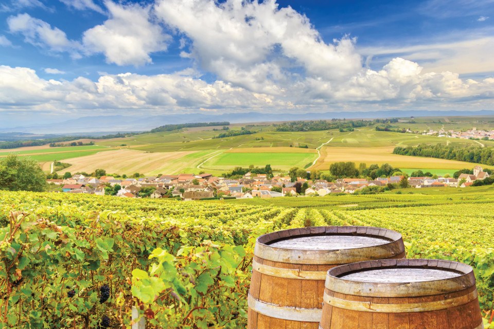 Champagne Region: Beyond the Bubbles, A Culinary Symphony