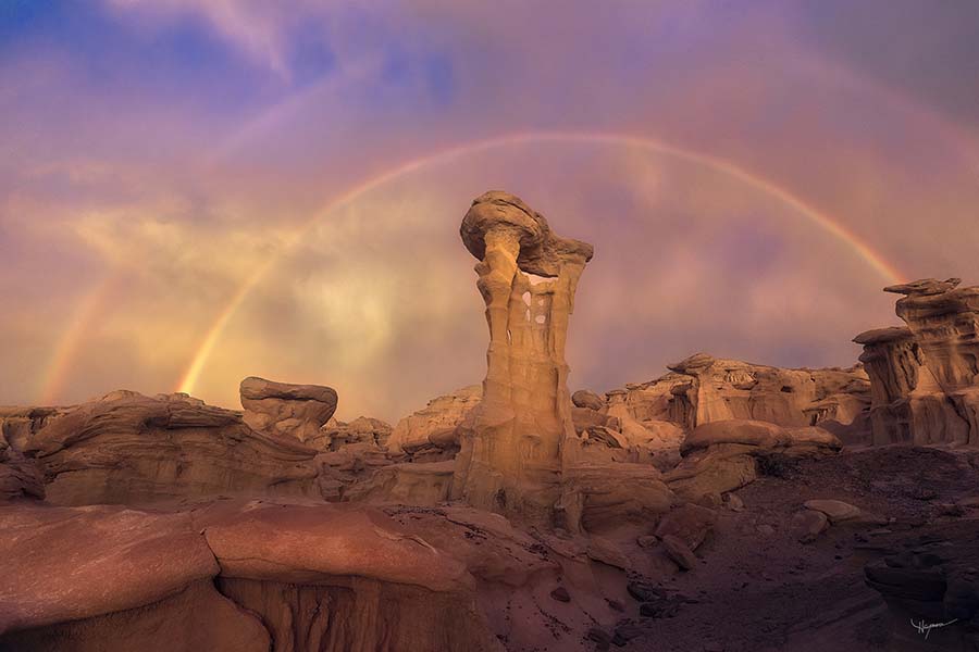 Journey Through the Sands: Exploring the Art of Desert and Wilderness Photography